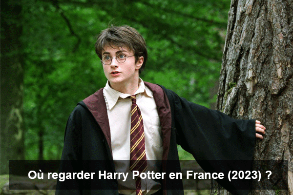 Où regarder Harry Potter en France (2023) ?
