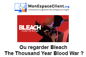 voir Bleach The Thousand Year Blood War en France